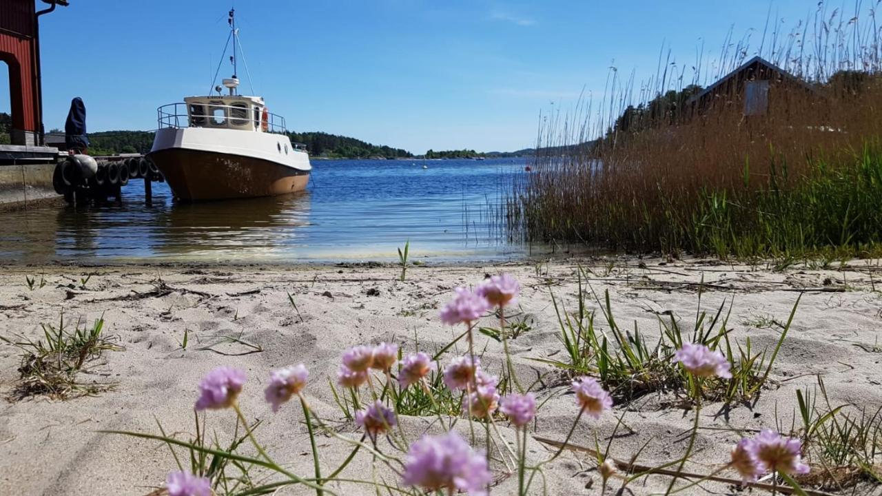 In Love With Norway Larvik Exterior foto